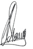 sig-1